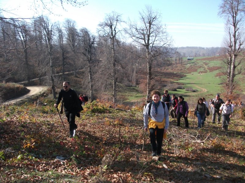 DSCF6812.jpg