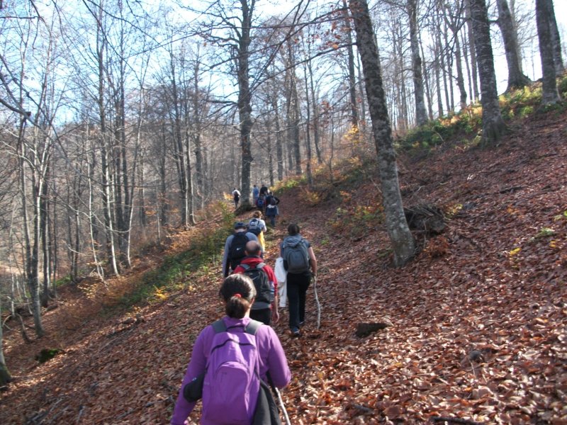 DSCF6830.jpg