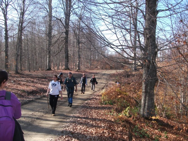 DSCF6839.jpg