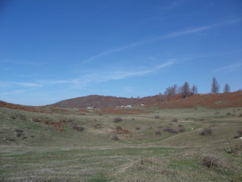 DSCF6852.jpg