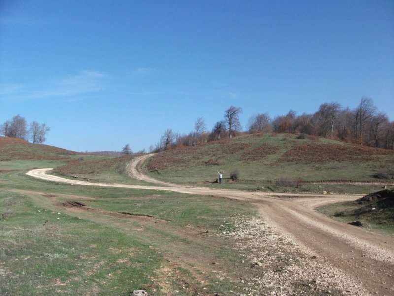 DSCF6855.jpg