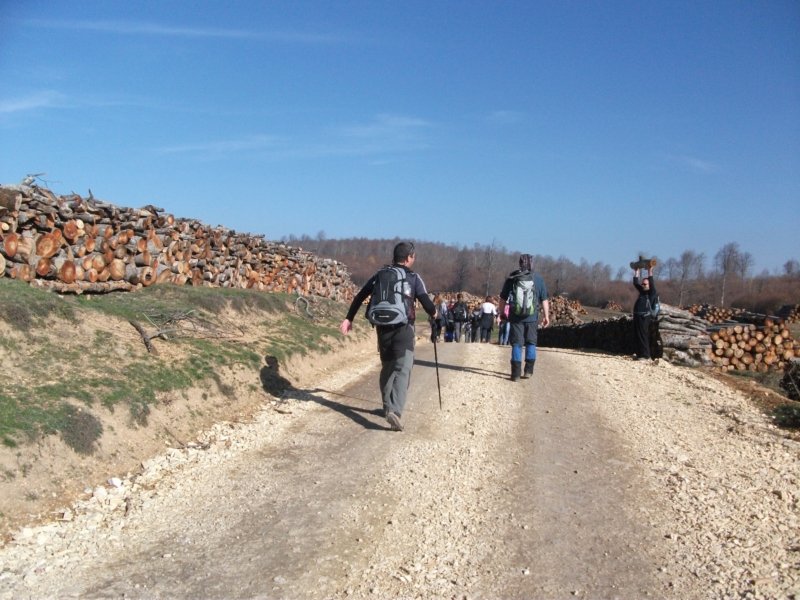 DSCF6865.jpg