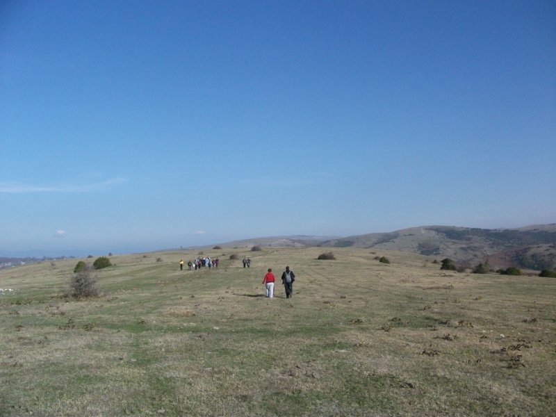 DSCF6887.jpg