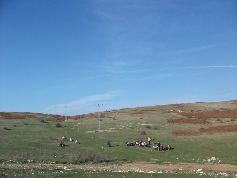 DSCF6895.jpg