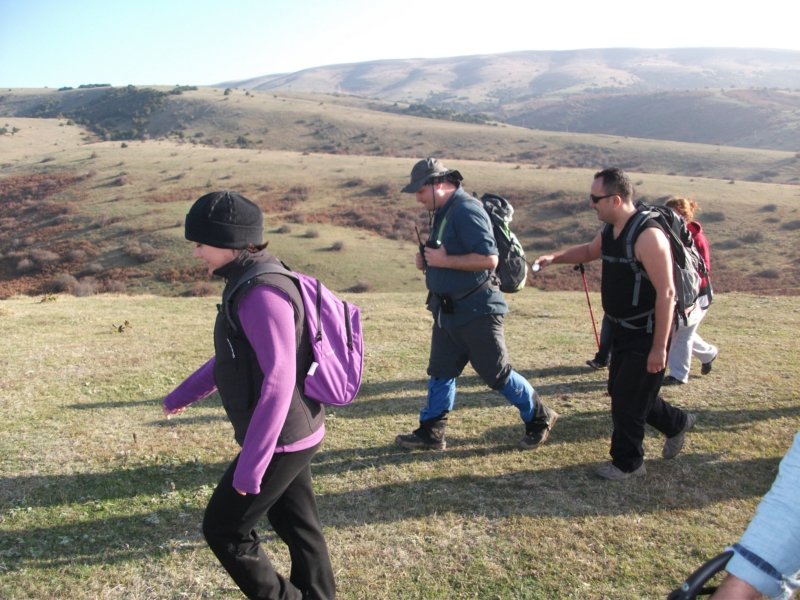 DSCF6906.jpg