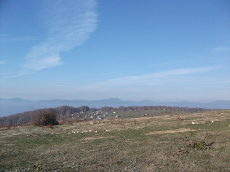 DSCF6914.jpg
