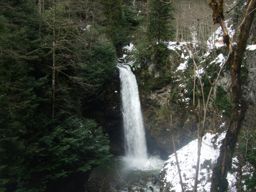 DSCF6931.jpg