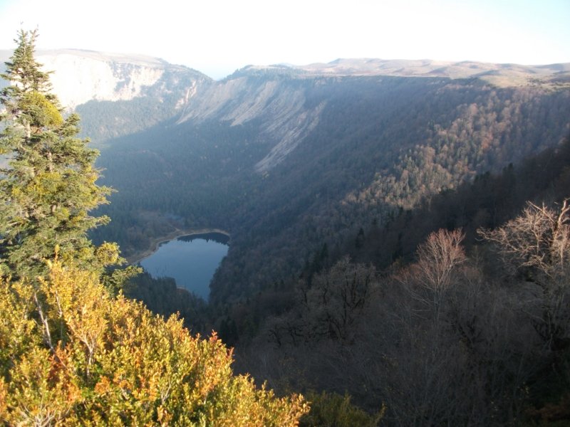 DSCF6941.jpg