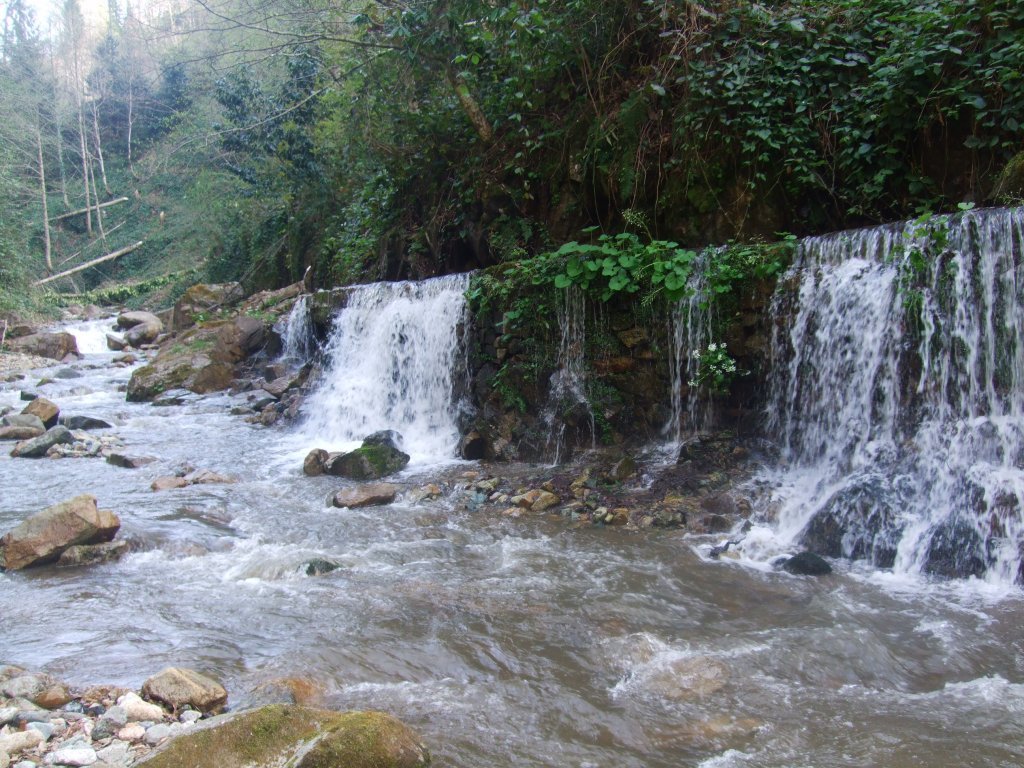DSCF6945.jpg