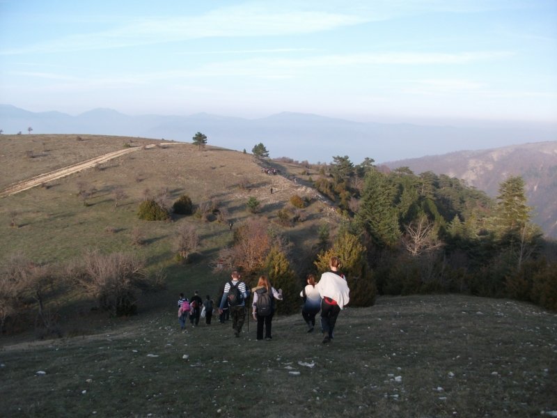 DSCF6946.jpg