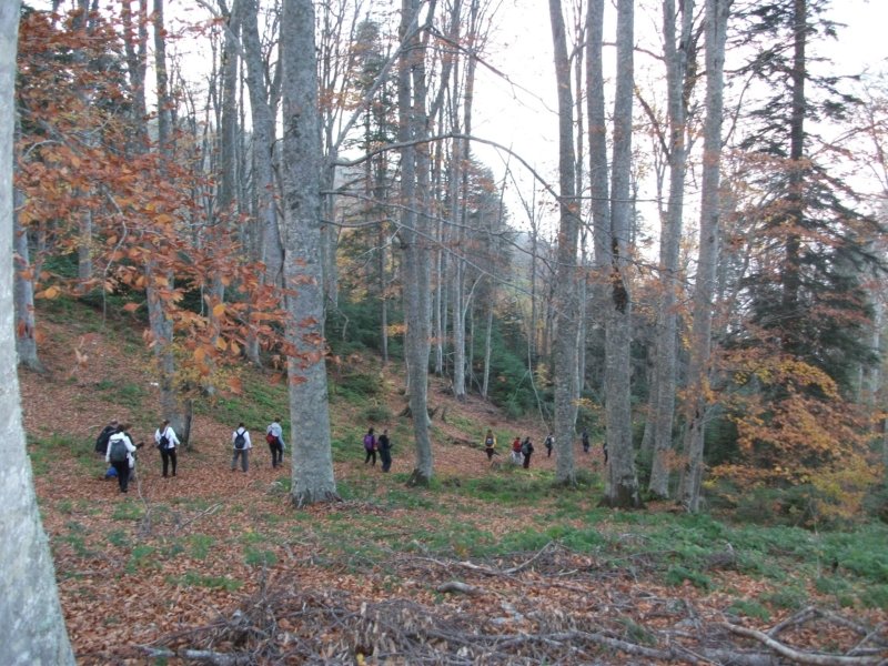 DSCF6968.jpg
