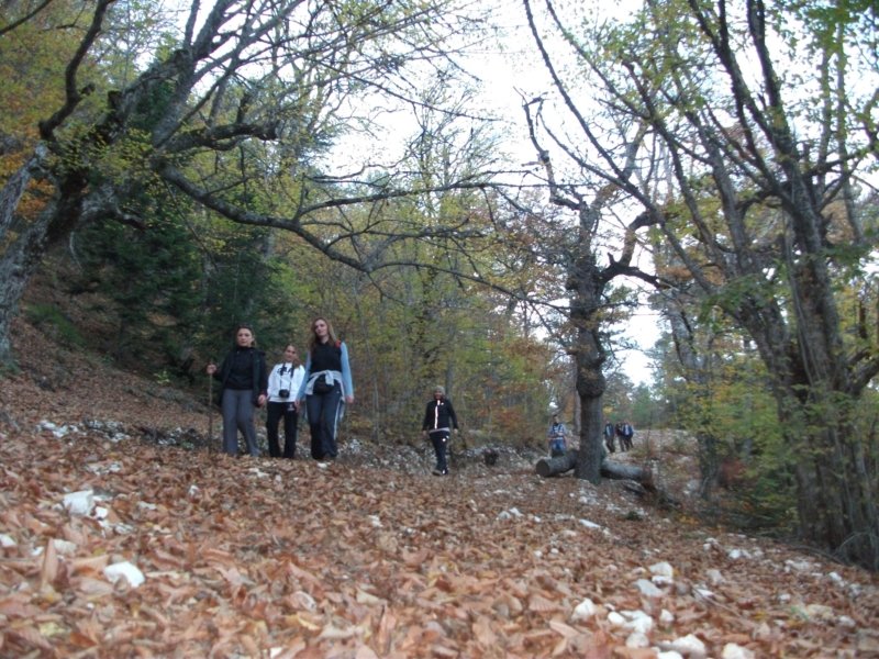 DSCF6979.jpg