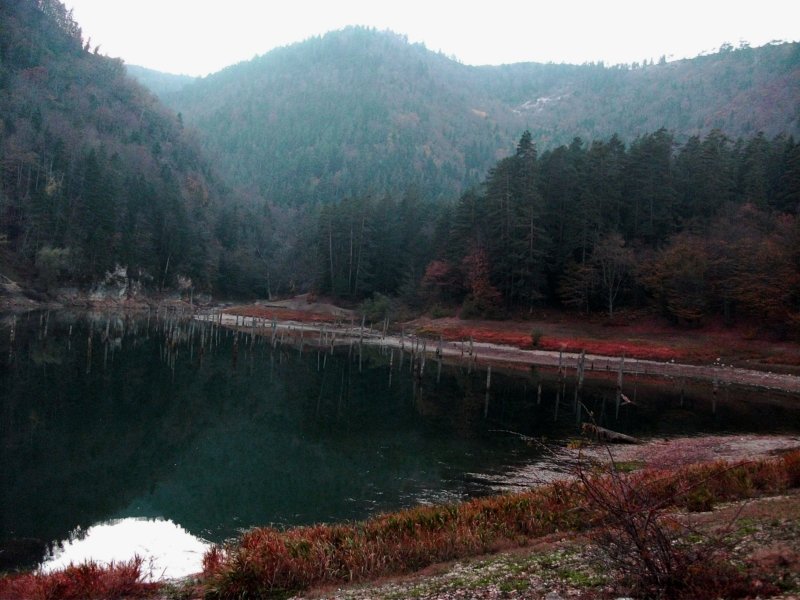 DSCF7006a.jpg