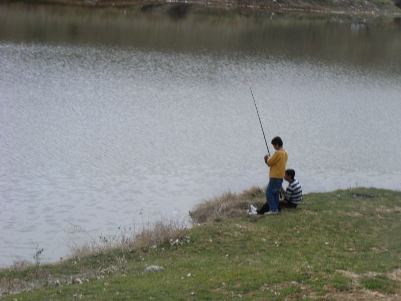 DSCF7276.jpg