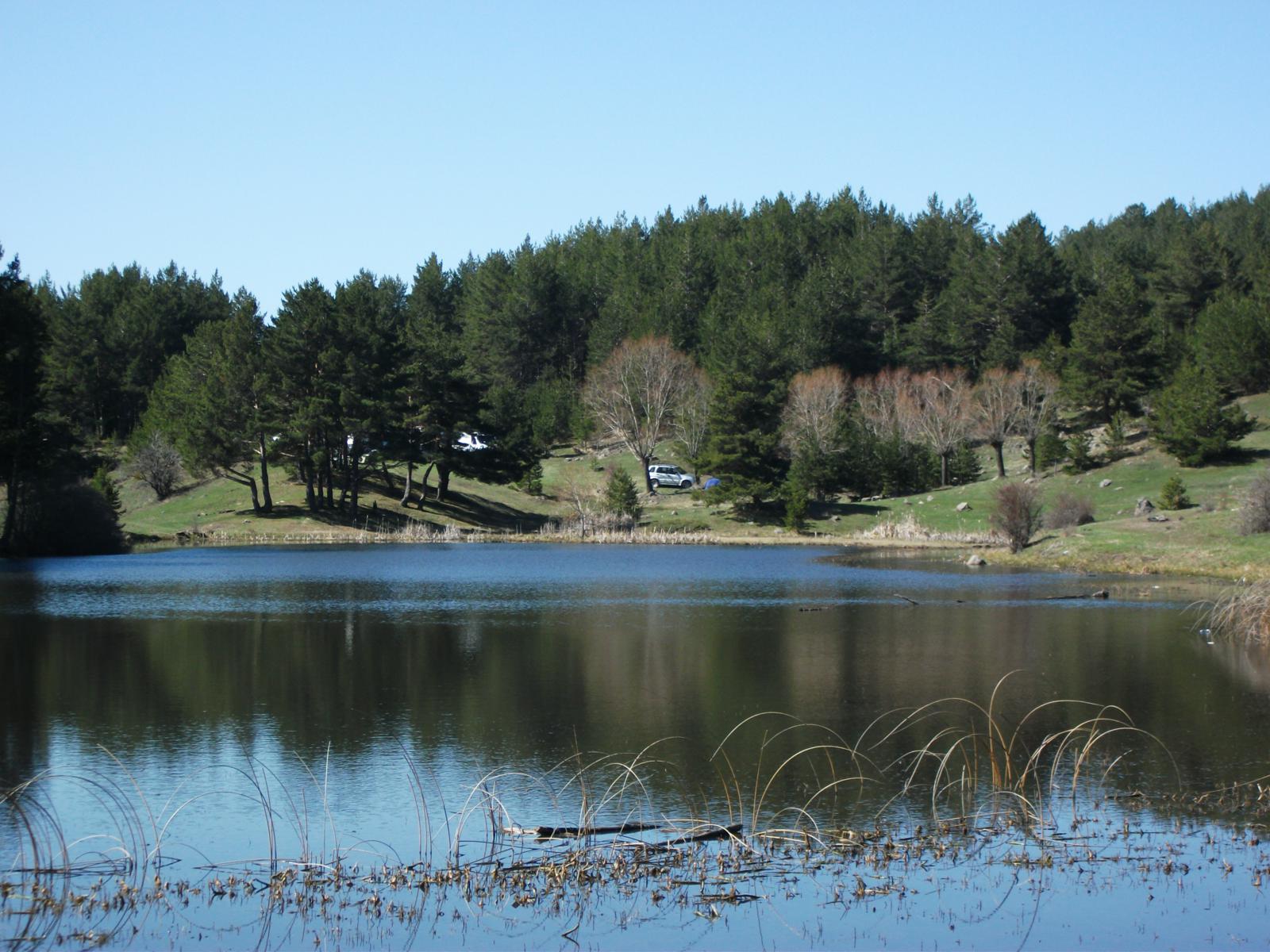 DSCF7501.jpg