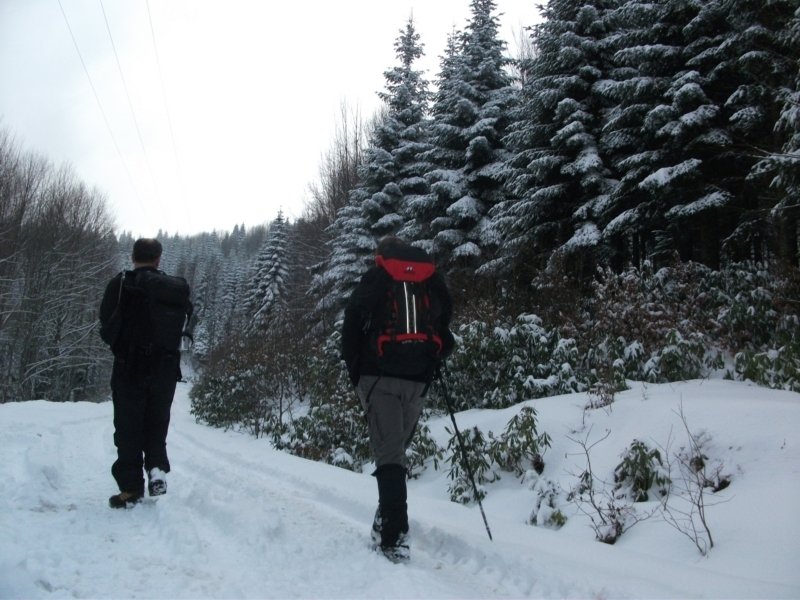 DSCF7513.jpg
