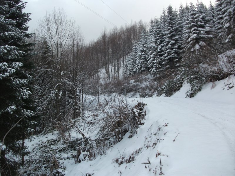DSCF7517.jpg