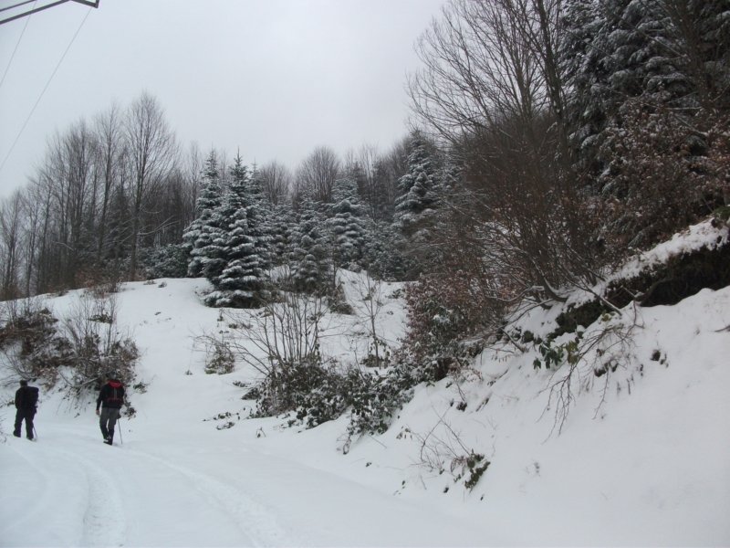 DSCF7527.jpg