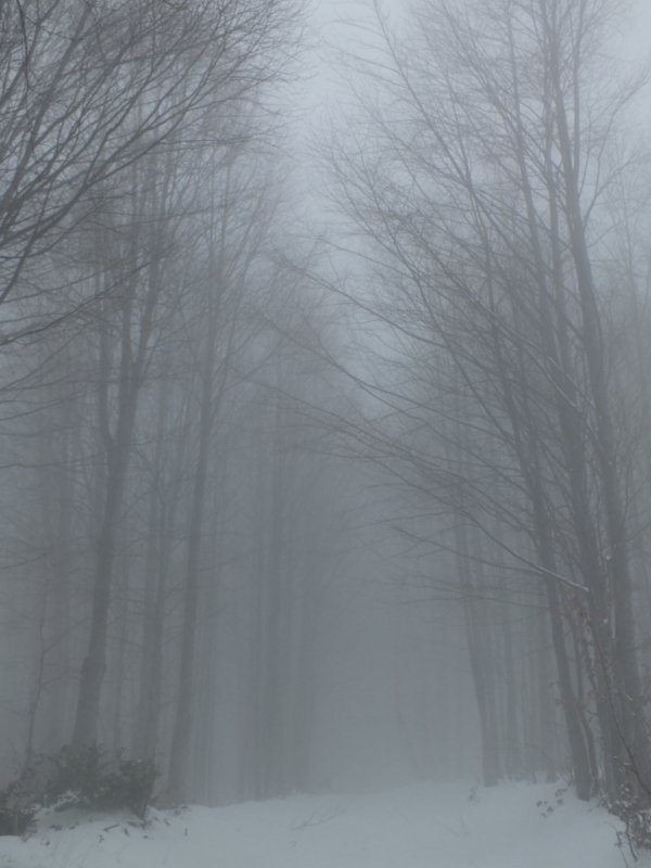 DSCF7533ab.jpg