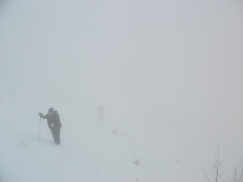 DSCF7554.jpg