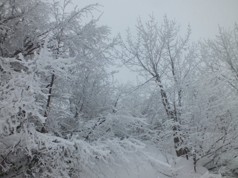 DSCF7569.jpg