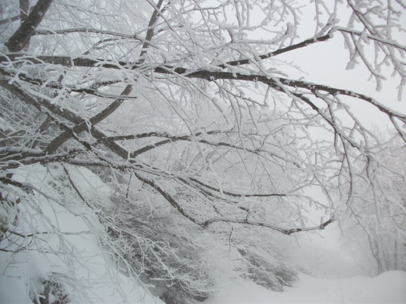 DSCF7573.jpg