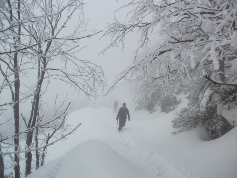 DSCF7576.jpg