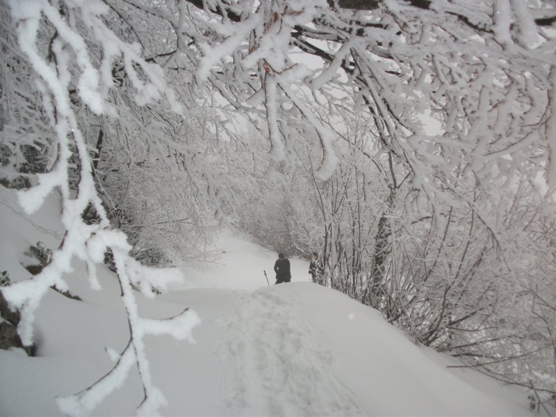 DSCF7585.jpg