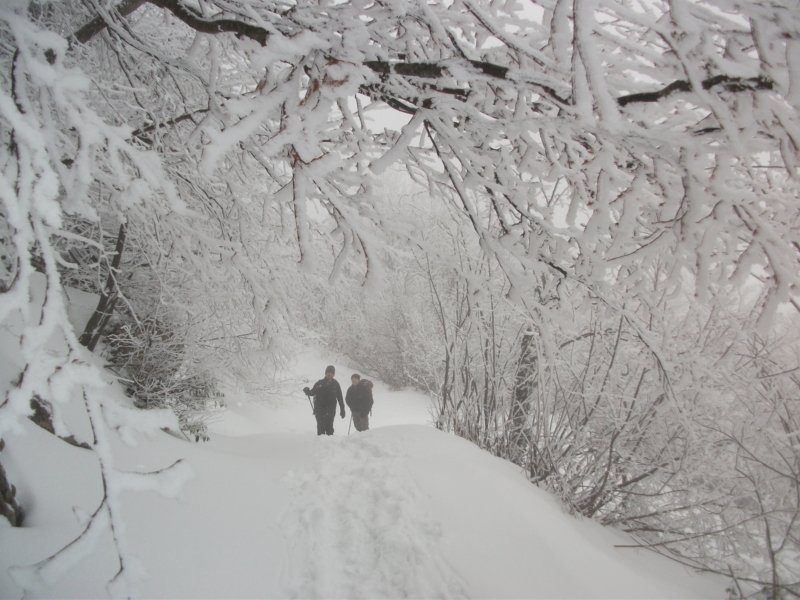 DSCF7588.jpg