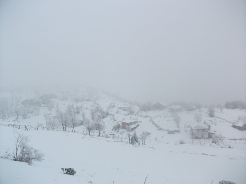 DSCF7608.jpg