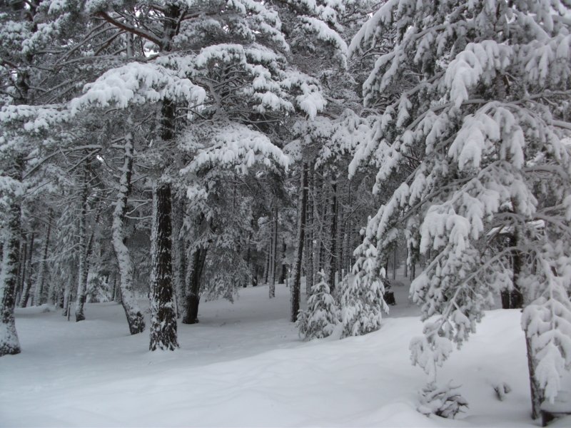 DSCF7746.jpg