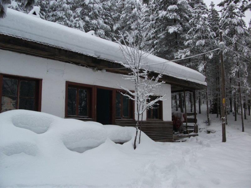 DSCF7748.jpg
