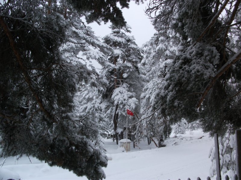 DSCF7754.jpg