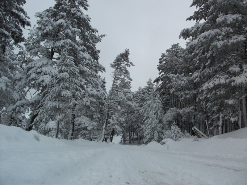DSCF7759.jpg