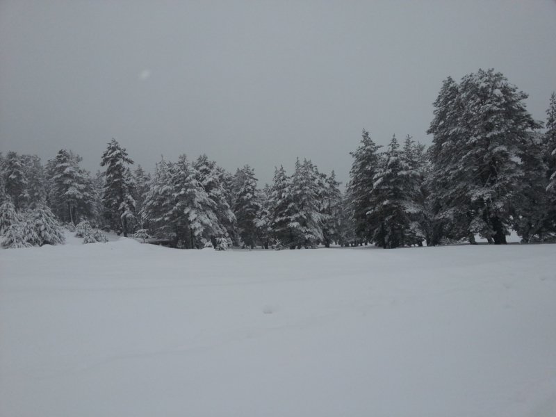 DSCF7760.jpg
