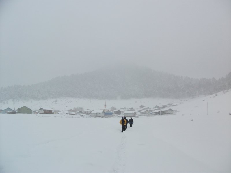 DSCF7776.jpg