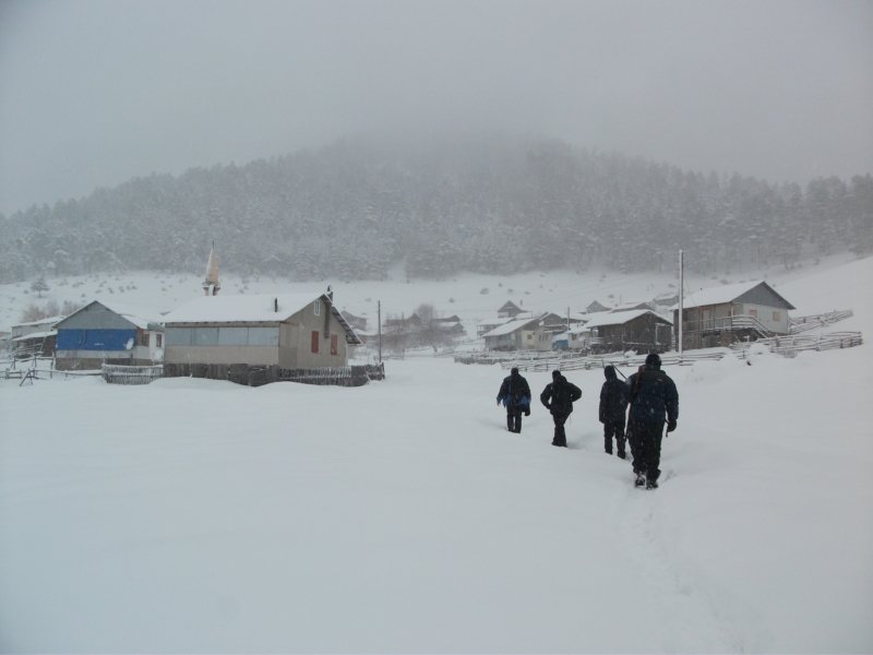 DSCF7781.jpg