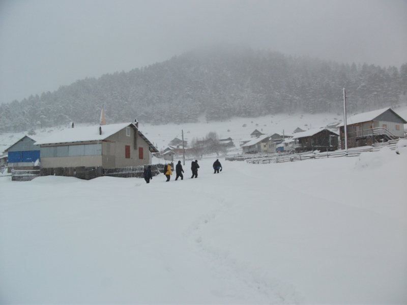 DSCF7785.jpg