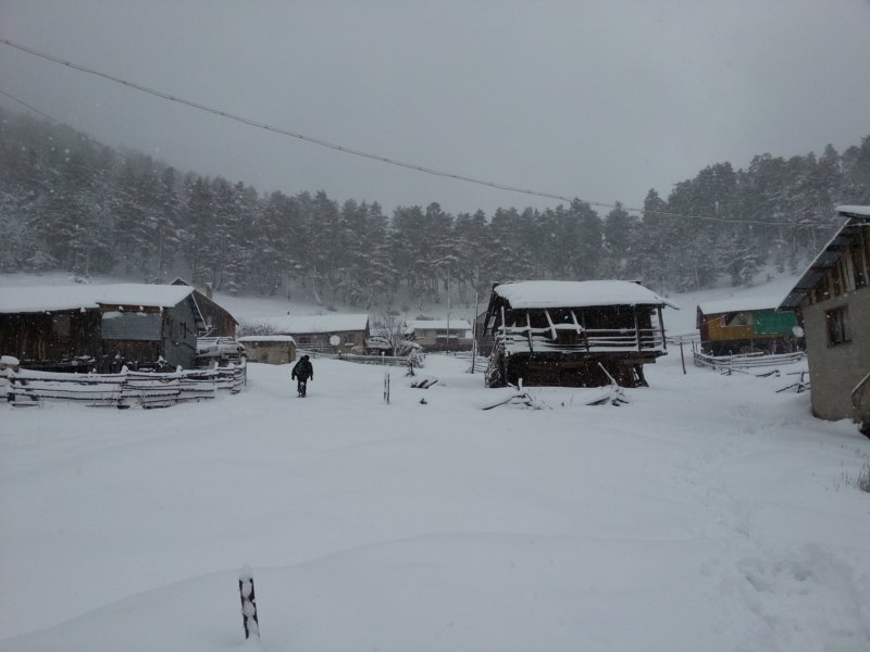 DSCF7786.jpg