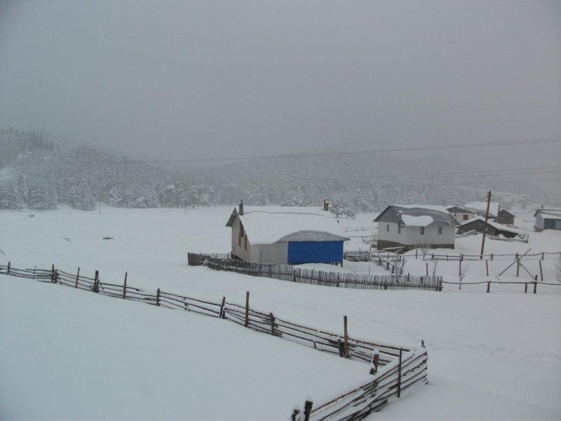 DSCF7796.jpg