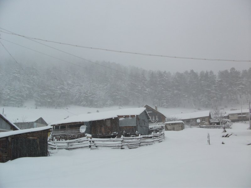 DSCF7803.jpg