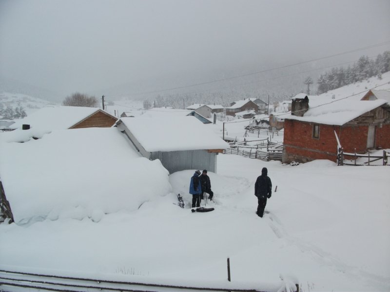 DSCF7807.jpg