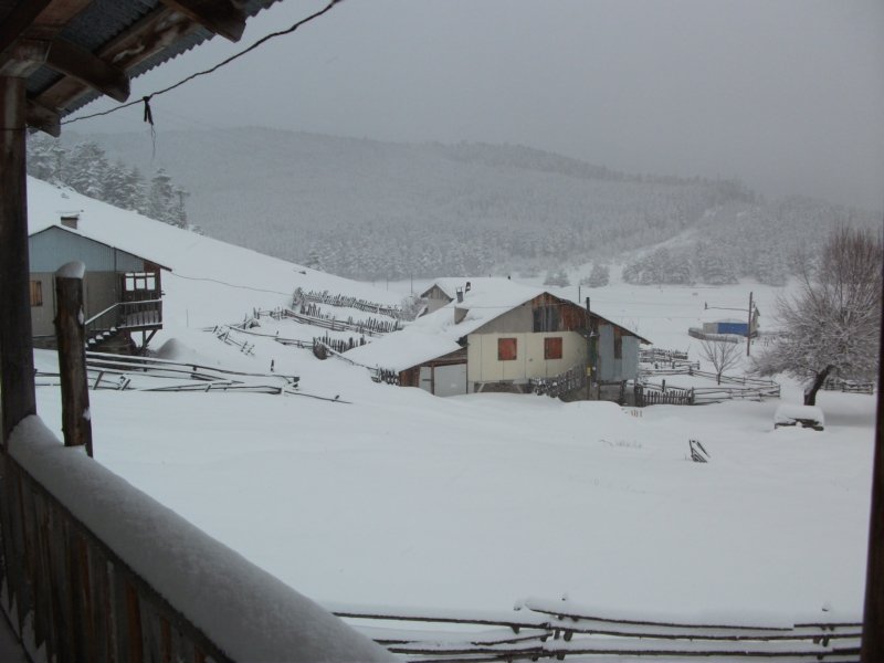 DSCF7809.jpg