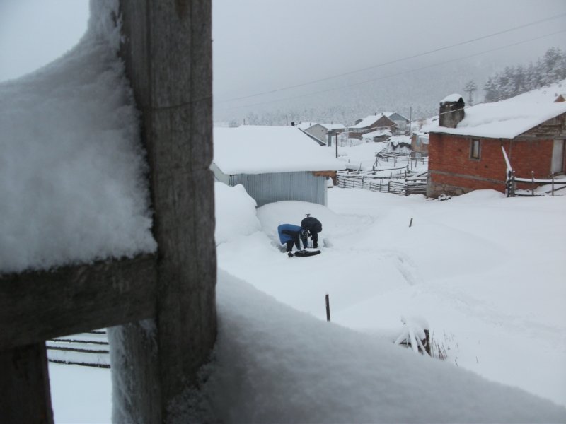 DSCF7813.jpg