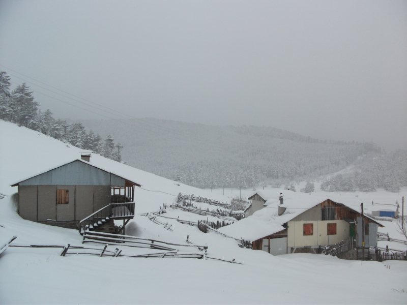 DSCF7815.jpg