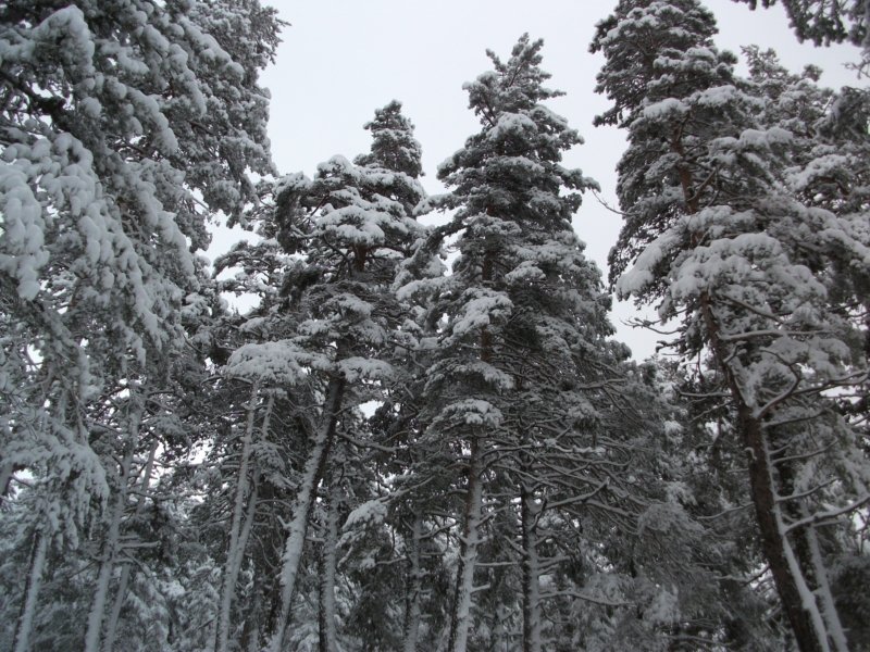 DSCF7844.jpg