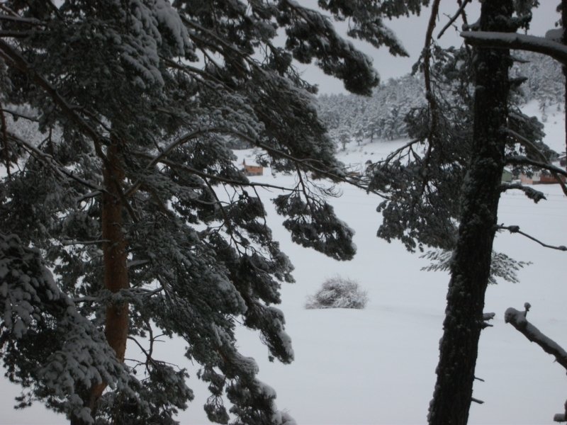 DSCF7845.jpg
