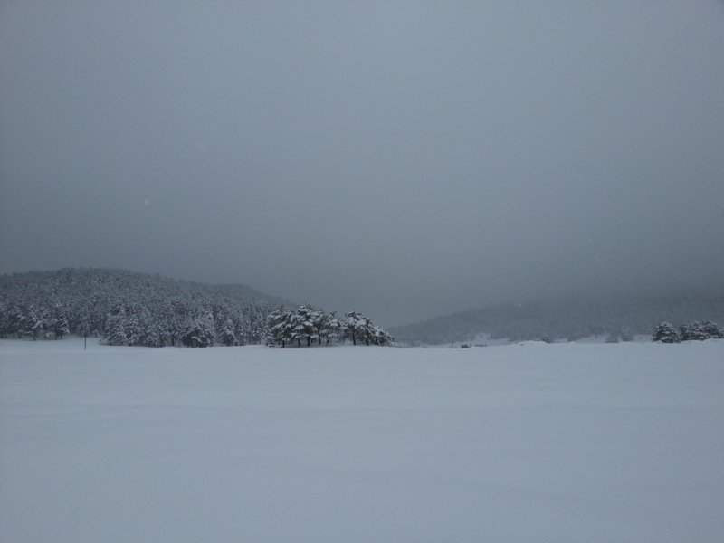 DSCF7845A.jpg