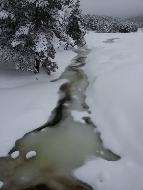 DSCF7850.jpg