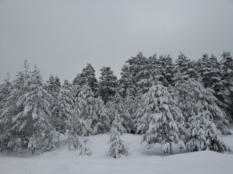 DSCF7850A.jpg